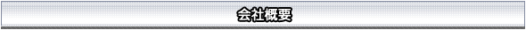 中国セキュリティサービス 会社概要